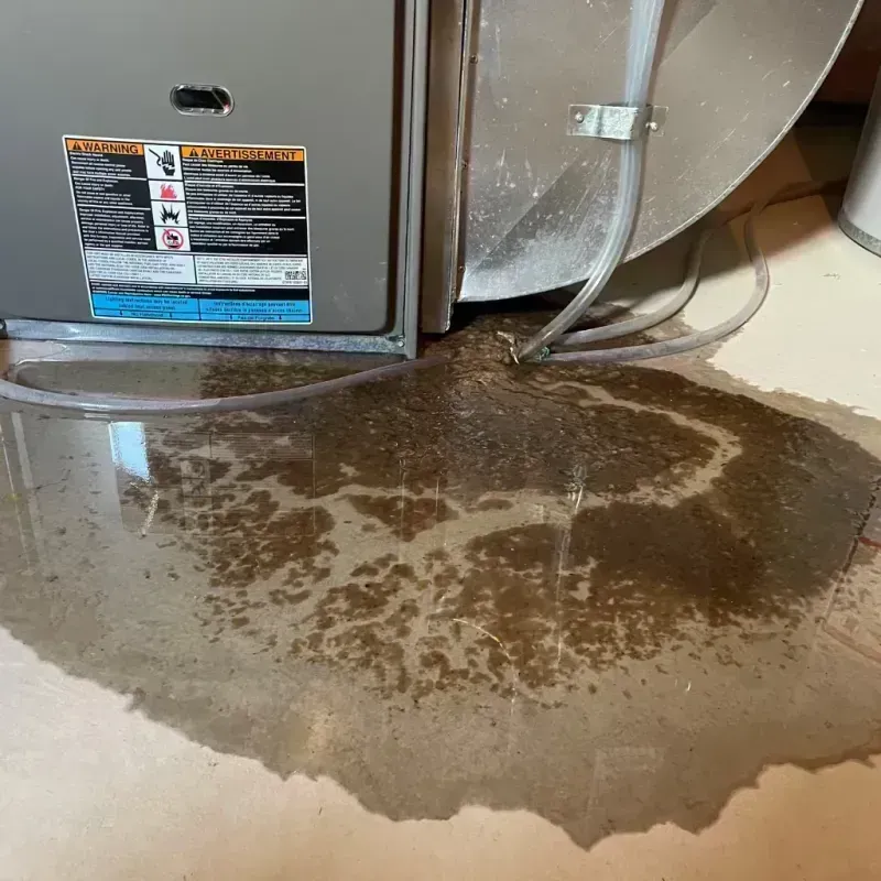 Appliance Leak Cleanup in Toledo, IL